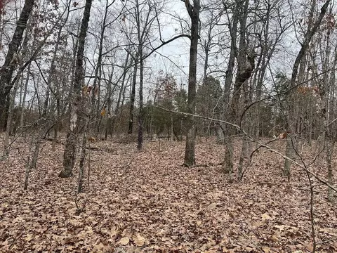 000 Britton Rd, Mammoth Spring, AR 72554 photo 2