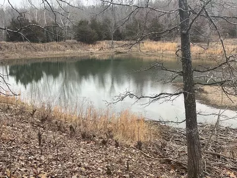 000 Britton Rd, Mammoth Spring, AR 72554 photo 5