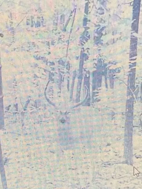 000 Britton Rd, Mammoth Spring, AR 72554 photo 8