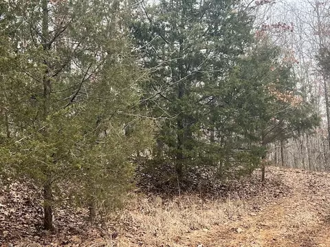 000 Britton Rd, Mammoth Spring, AR 72554 photo 6