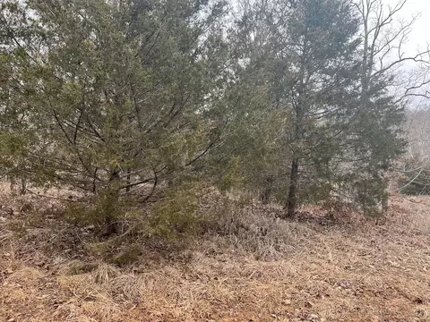 000 Britton Rd, Mammoth Spring, AR 72554 photo 3
