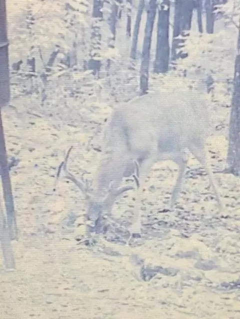 000 Britton Rd, Mammoth Spring, AR 72554 photo 7