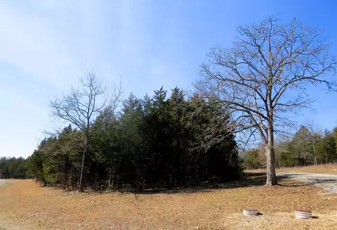 lot8 New Eagles Trl, Shell Knob, MO 65747