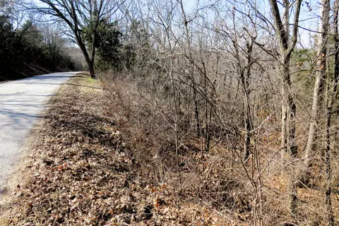 lot273 A Hill Haven Rd, Hollister, MO 65672