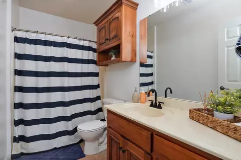 Bath - 121 Willoughby Rd, Clever, MO 65631 photo 5 of 5