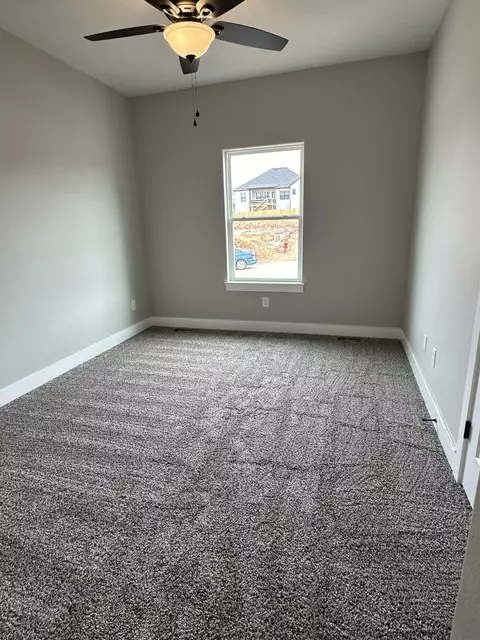 Other - 1105 S Swift Ave, Ozark, MO 65721 photo 14 of 26