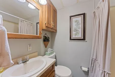 425 Monarch Dr, Branson, MO 65616 photo 17