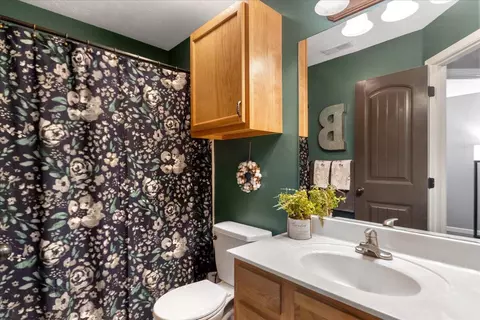 Bath - 94 Holly Ridge Rd, Willard, MO 65781 photo 5 of 5