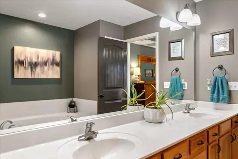 Bath - 94 Holly Ridge Rd, Willard, MO 65781 photo 3 of 5