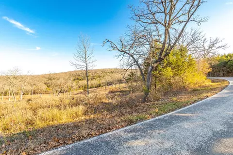 3 Bread Tray Mountain Road, Lampe, MO 65681 photo 7