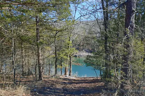 3 Bread Tray Mountain Road, Lampe, MO 65681 photo 4