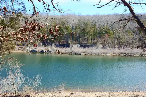 3 Bread Tray Mountain Road, Lampe, MO 65681 photo 5