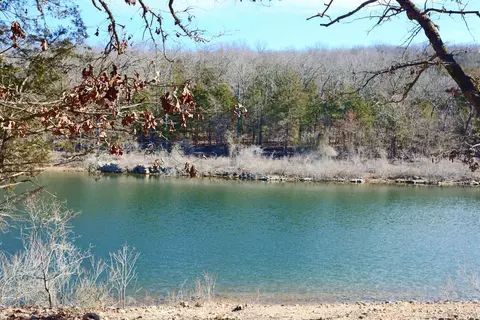 5 Bread Tray Mountain Road, Lampe, MO 65681 photo 4