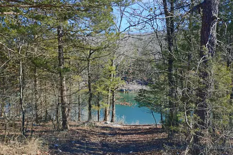 5 Bread Tray Mountain Road, Lampe, MO 65681 photo 3