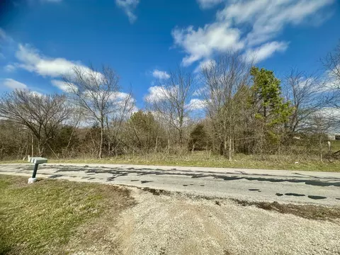 Tract 2 Colombo Road, Ozark, MO 65721 photo 8