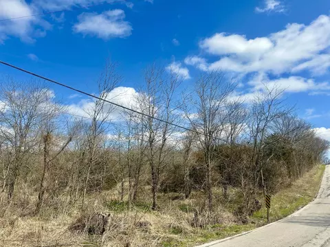 Tract 2 Colombo Road, Ozark, MO 65721 photo 4