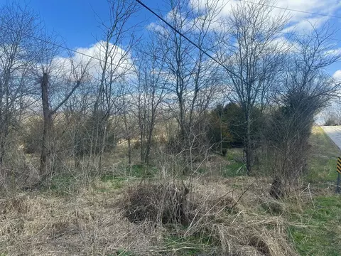Tract 2 Colombo Road, Ozark, MO 65721 photo 2