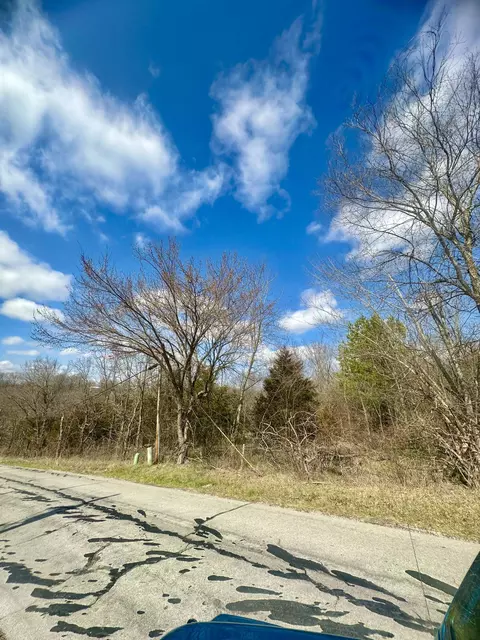 Tract 2 Colombo Road, Ozark, MO 65721 photo 6