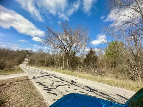 Tract 2 Colombo Road, Ozark, MO 65721 photo 5