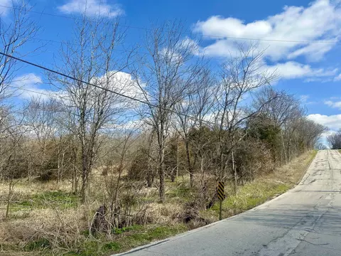 Tract 2 Colombo Road, Ozark, MO 65721 photo 3