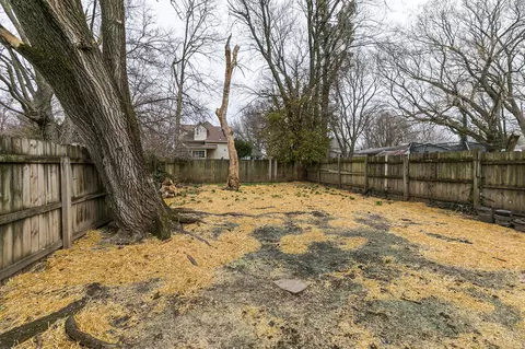 933 W Madison St, Springfield, MO 65806 photo 27