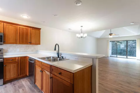 7846 Cozy Cove Rd, Branson, MO 65616 photo 6