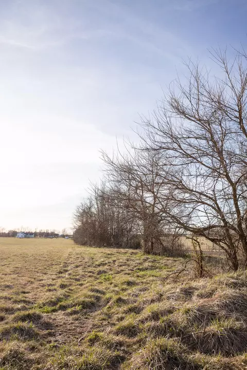 000 Napper Rd, Billings, MO 65610 photo 12