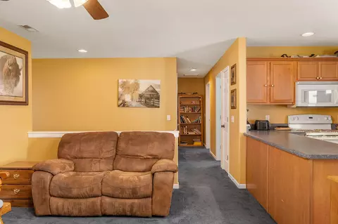 379 Spring Creek Rd, Branson, MO 65616 photo 7