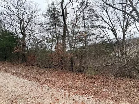 0 Linden Ln, Shell Knob, MO 65747 photo 2