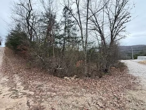 0 Linden Ln, Shell Knob, MO 65747 photo 3