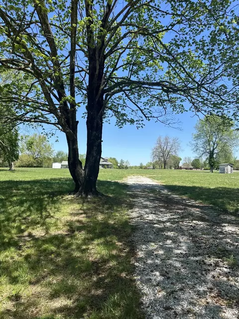669 Bluestem Rd, Ozark, MO 65721 photo 5