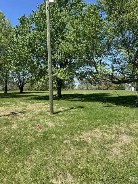 669 Bluestem Rd, Ozark, MO 65721 photo 9