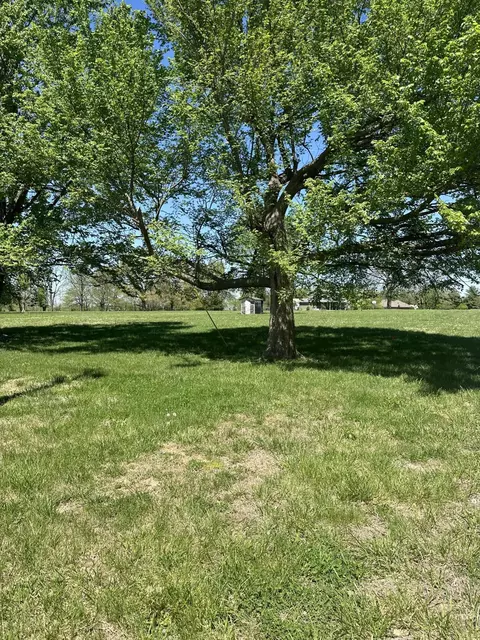 669 Bluestem Rd, Ozark, MO 65721 photo 8