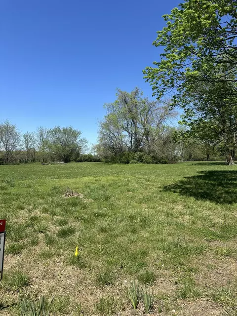 669 Bluestem Rd, Ozark, MO 65721 photo 3