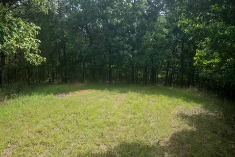 000 Pinnacle Loop #LOT 33, Protem, MO 65733 photo 14