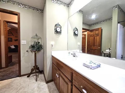 Bath - 815 Mark St, Willard, MO 65781 photo 7 of 7