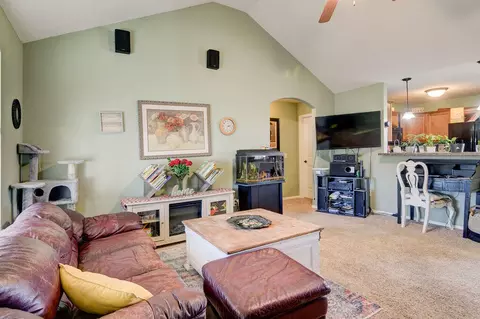 715 W Christopher Ln, Clever, MO 65631 photo 3