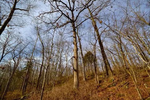 000 S 2325 Rd, Milo, MO 64767 photo 16