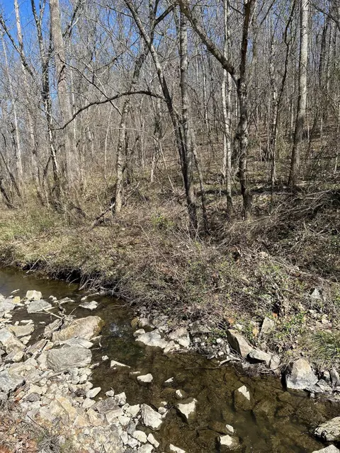 000 Y Hwy, Couch, MO 65690 photo 2