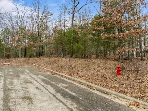 105 Roark Hills Dr, Branson, MO 65616 photo 3