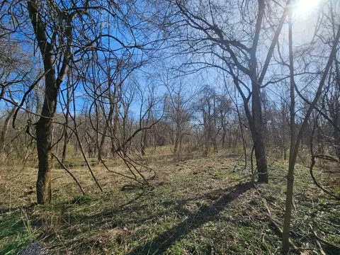 000 County Road 337a, Dora, MO 65637 photo 38