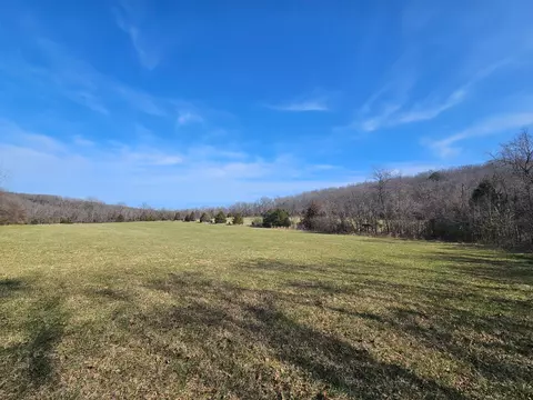000 County Road 337a, Dora, MO 65637 photo 34