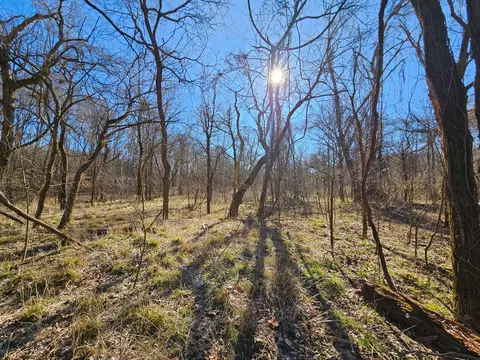 000 County Road 337a, Dora, MO 65637 photo 10