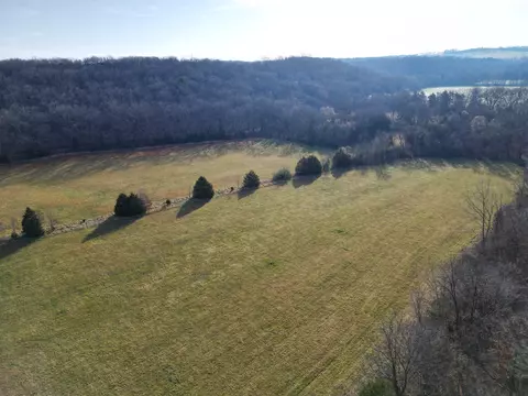 000 County Road 337a, Dora, MO 65637 photo 43