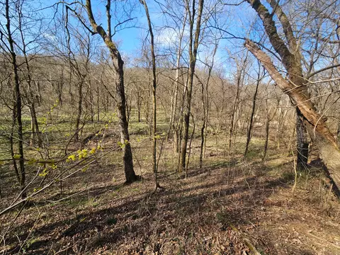 000 County Road 337a, Dora, MO 65637 photo 37
