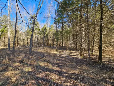 000 County Road 337a, Dora, MO 65637 photo 11