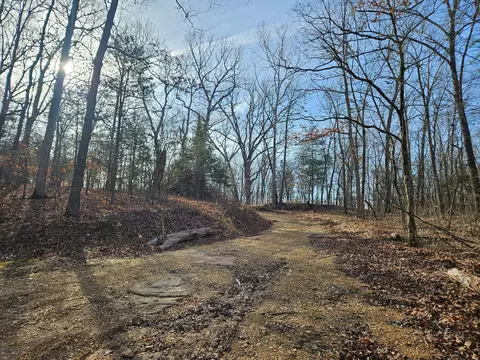 000 County Road 337a, Dora, MO 65637 photo 27