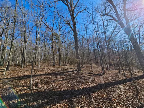 000 County Road 337a, Dora, MO 65637 photo 12