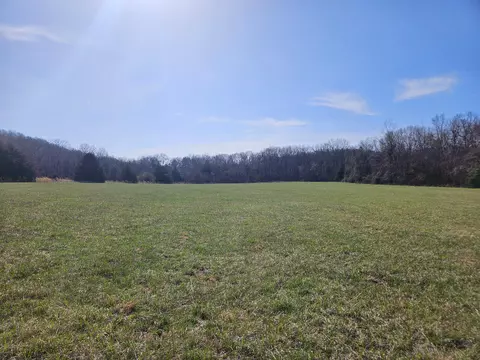 000 County Road 337a, Dora, MO 65637 photo 33