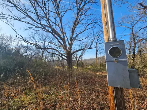 000 County Road 337a, Dora, MO 65637 photo 4